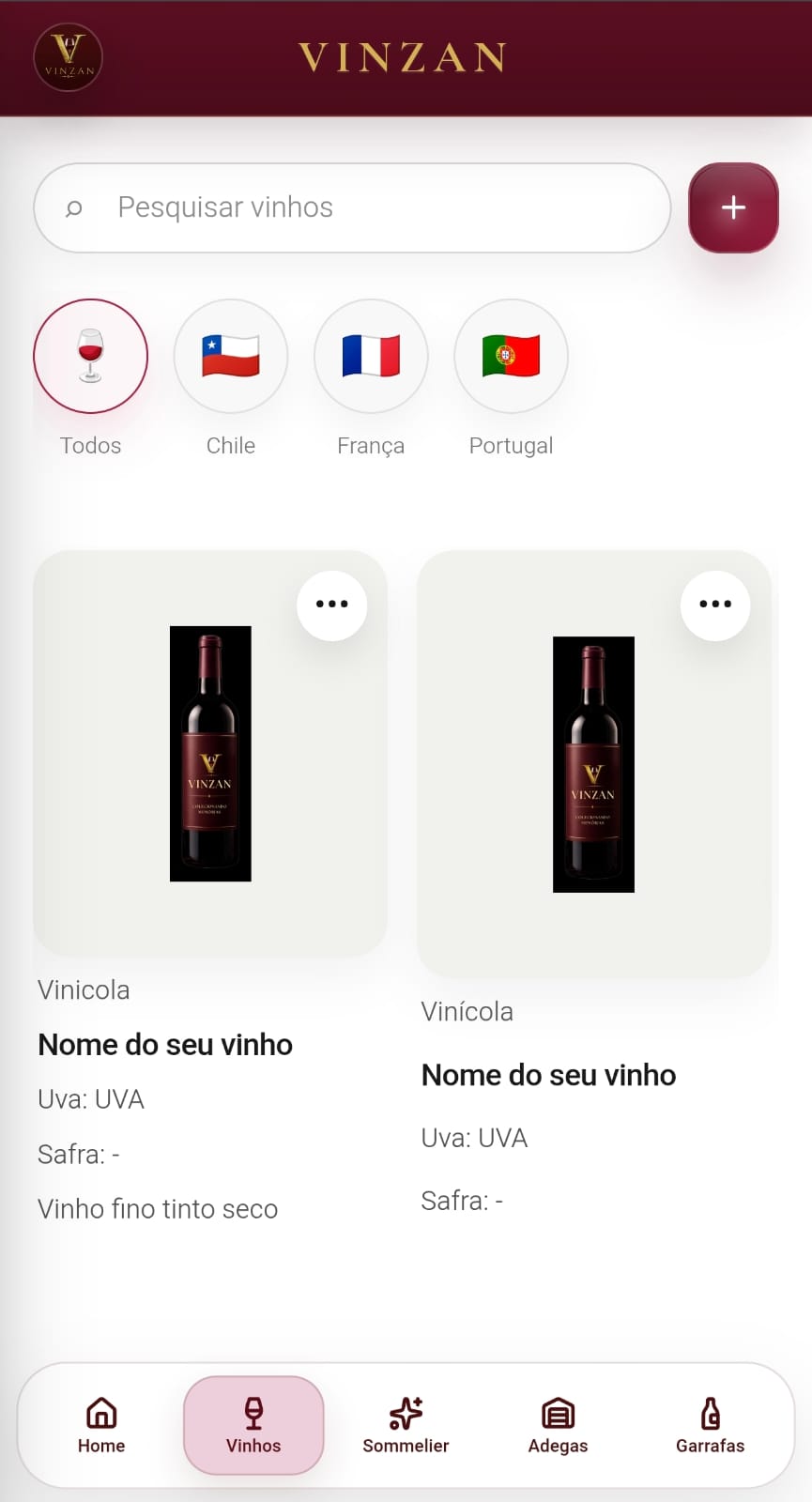 Tela de cadastro de vinho no app Vinzan