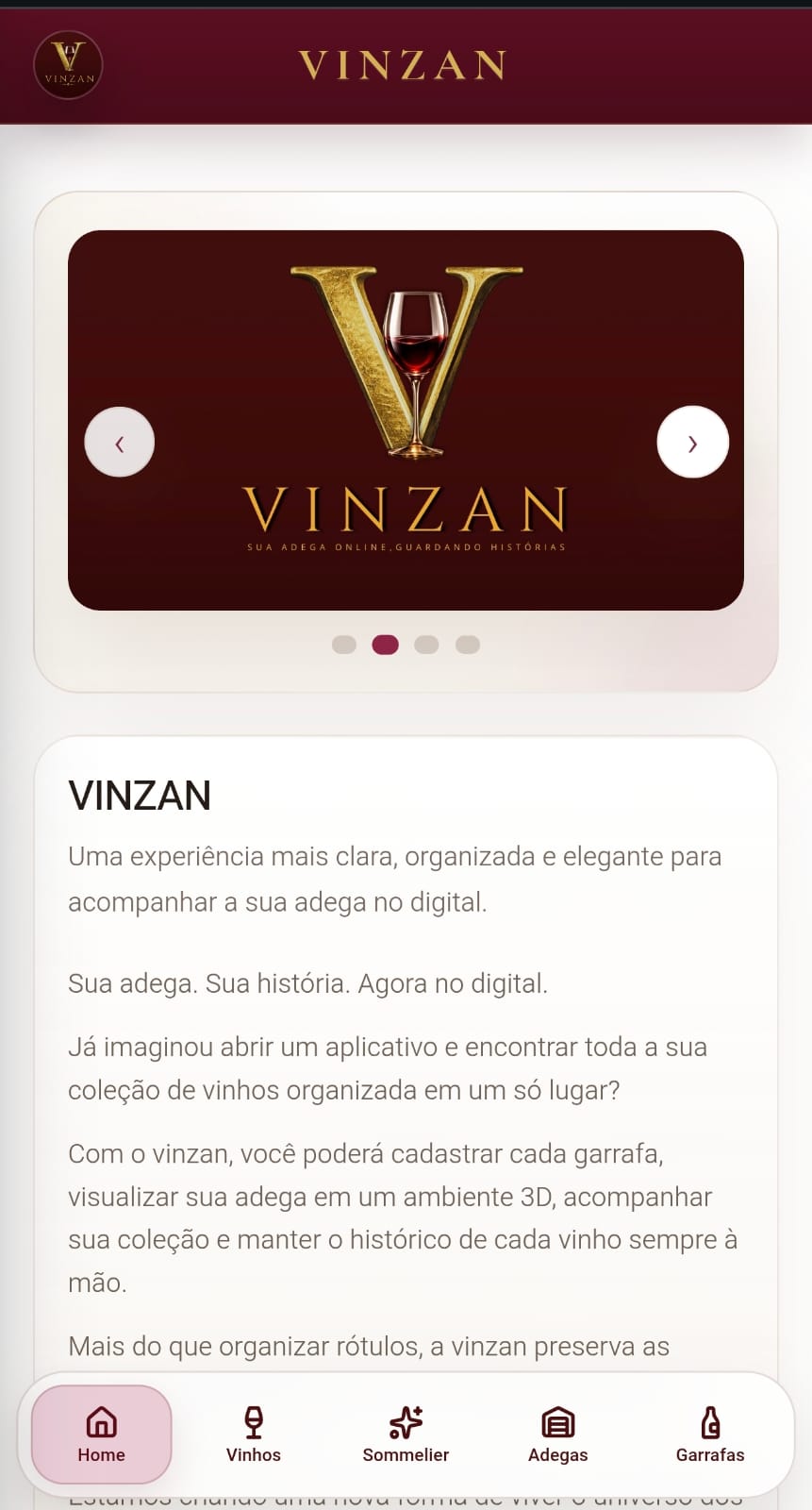 Tela inicial do aplicativo Vinsan
